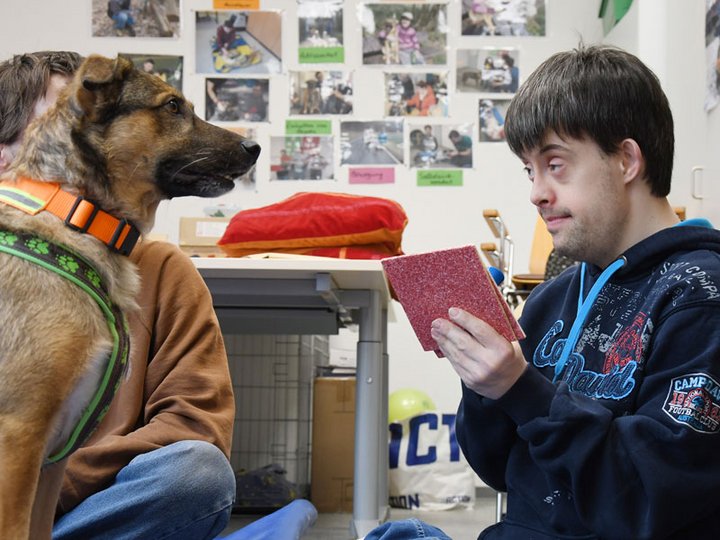 Ein junger Mann in Interaktion mit einem Hund im Rahmen der tiergestützten Therapie auf der Asbacher Hütte der Stiftung kreuznacher diakonie