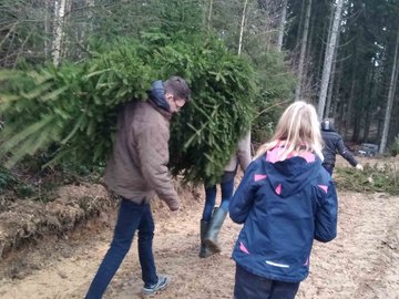 Kinder transportieren einen Weihnachtsbaum aus dem Wald