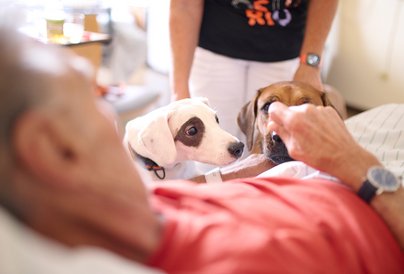 Patient im Krankenhaus der Stiftung kreuznacher diakonie mit Therapiehunden